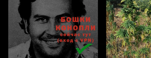 стафф Новозыбков