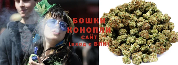 стафф Новозыбков