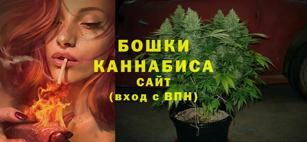стафф Новозыбков