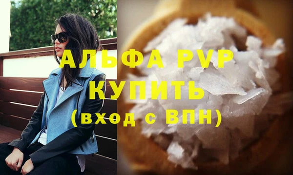 стафф Новозыбков