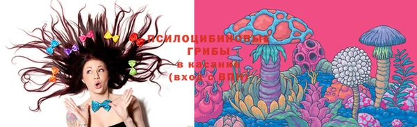 ГАЛЛЮЦИНОГЕННЫЕ ГРИБЫ Нягань