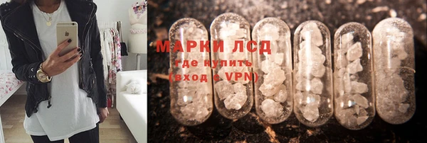 Альфа ПВП Новодвинск