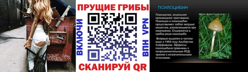 Галлюциногенные грибы мухоморы  hydra ONION  Полтавская 